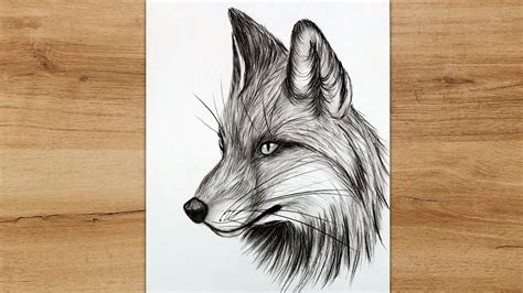 How To Draw A Fox Head