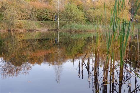 Park, Lake, Free Stock Photo - Public Domain Pictures