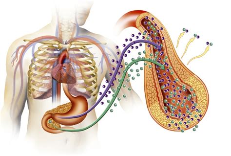 Top 10 Incurable Diseases in The World You Should Know