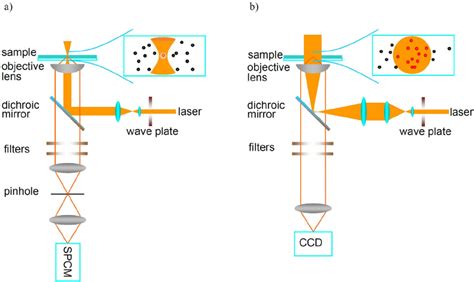 Confocal Fluorescence Microscopy