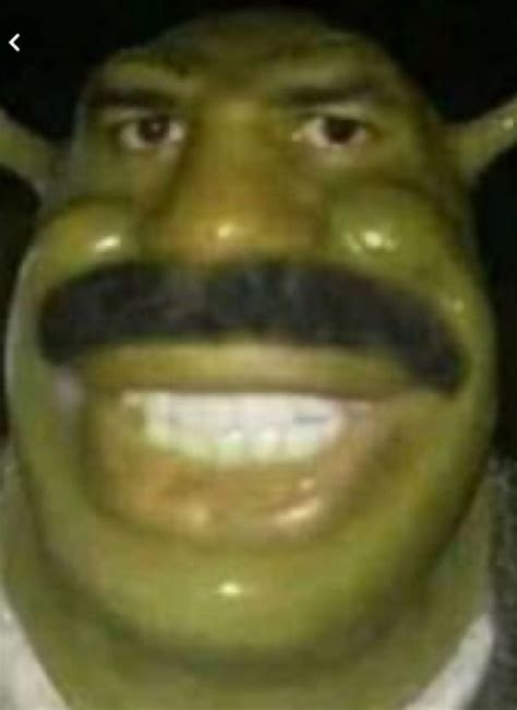 shrek with a georgian mustache - Create meme / Meme Generator - Meme ...