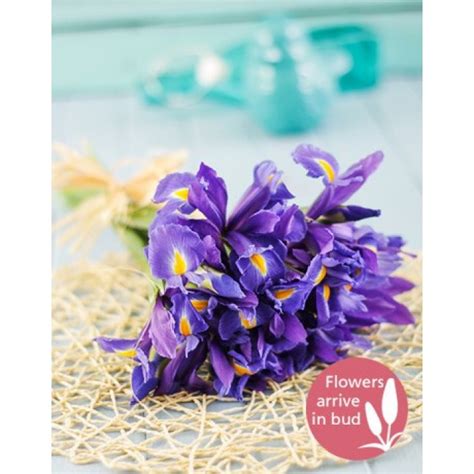 Blue Iris Bouquet | South Africa | inMotion Flowers