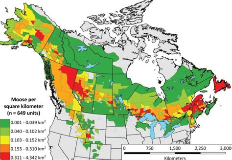 Moose Population in North America | Wondering Maps