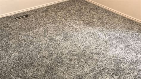 Polyester Carpet Pros and Cons: Here's What To Know