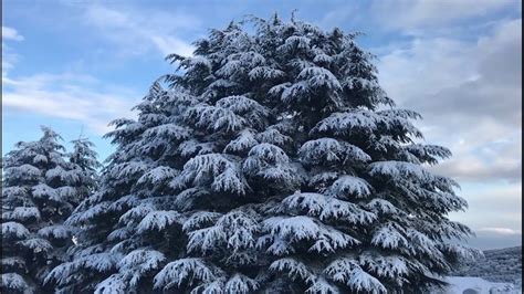 Snow in Mountains of Lebanon | Lebanon, Outdoor, Clouds