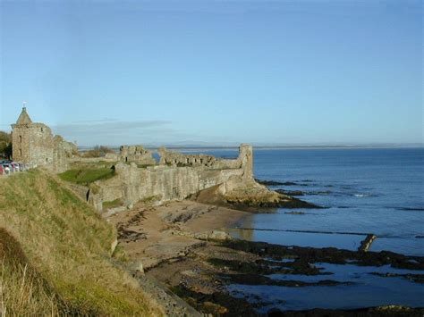 Root of the Problem: Images of a Scottish Castle - St. Andrews, Fife