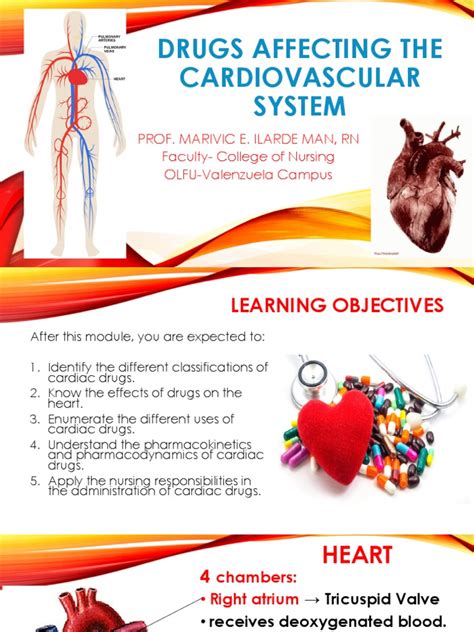 Drugs Affecting The Cardiovascular System | PDF