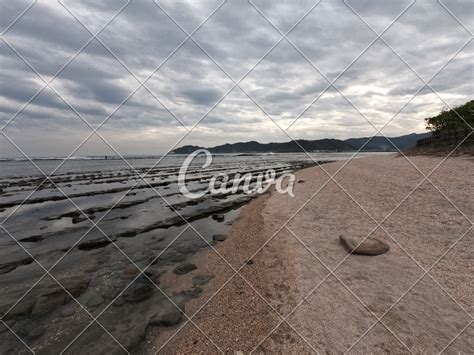 The coast view in Aoshima island - Photos by Canva