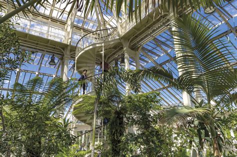 Kew Gardens: The Enduring Romance of London's Botanical Beauty