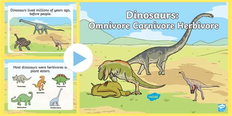 Dinosaur Activties - Twinkl Homework Help - Twinkl