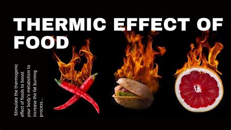 Thermic Effect of Food And Metabolism: Are They Linked?