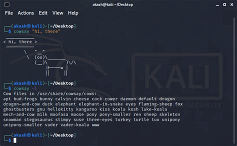 Kali Linux - Terminal - javatpoint