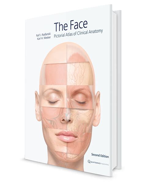 The Face - Pictorial Atlas of Clinical Anatomy - Archidemia