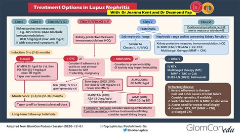 Lupus Nephritis Treatment Infographic – GlomCon (pubs)