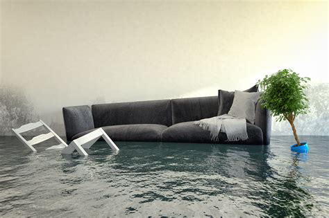 Home Flood Repairs: A Guide on What You Should Know and Do