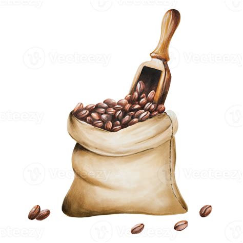 Watercolor bag of coffee beans illustration. Hand painting on isolated background. For designers ...