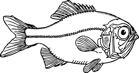 Ugly Fish Clip Art at Clker.com - vector clip art online, royalty free & public domain