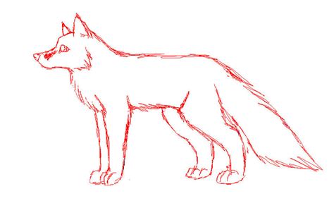 Fox anatomy practice by Silver-Fauxx on DeviantArt