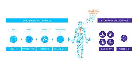 Demystifying VOCs: What You Need to Know About Volatile Organic Compounds