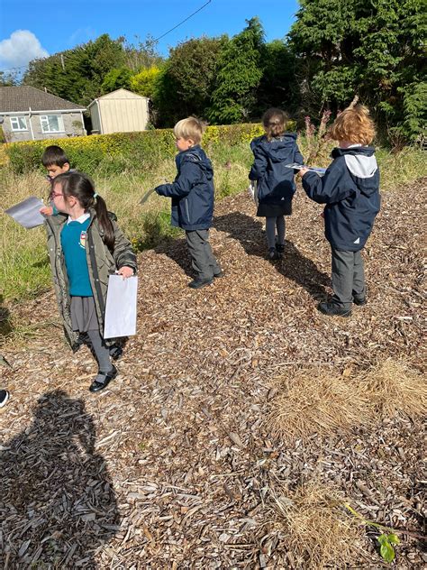 Calvin Jones - School Wildlife Safari - Walterstown National School