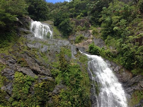 Waterfall,cairns,rainforest waterfalls,free pictures, free photos - free image from needpix.com