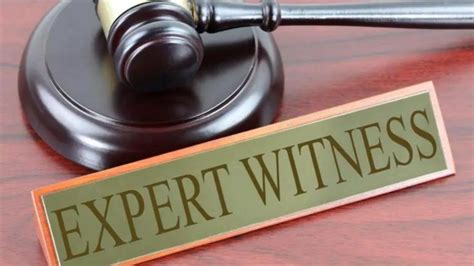 The Different Types of Expert Witnesses You Should Know About - TheDailyGuardian