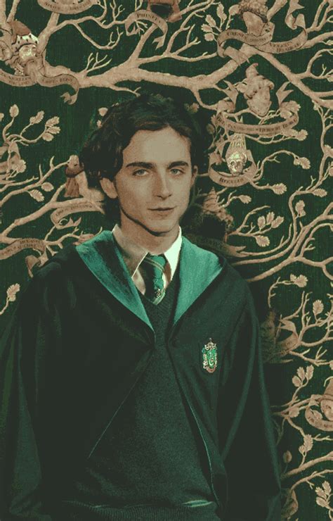 𝗥𝗲𝗴𝘂𝗹𝘂𝘀 𝗔𝗿𝗰𝘁𝘂𝗿𝘂𝘀 𝗕𝗹𝗮𝗰𝗸 𝗲𝗱𝗶𝘁 | Regulus black, Harry potter marauders, Harry potter actors