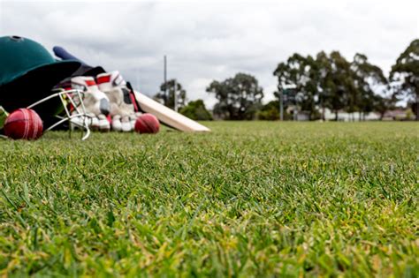 Cricket Ground Pictures | Download Free Images on Unsplash