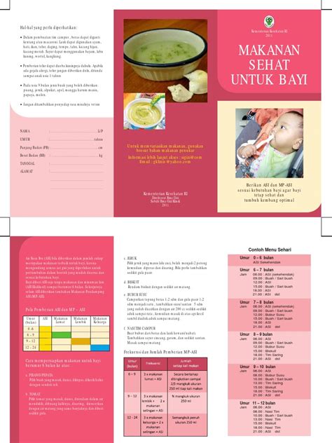 Brosur Makanan Sehat Untuk Bayi1 PDF