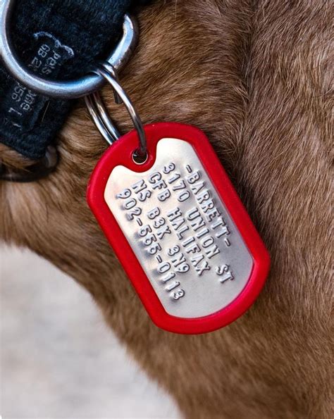 Dog ID Tag, Dog Tag for dog personalized, Pet Tag, Pet ID Tag, Quiet ...