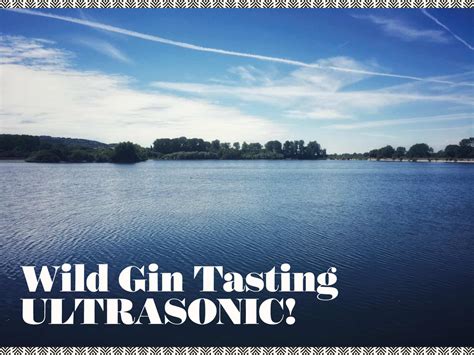 Wild Gin Tasting – Ultrasonic! At Puddingstone Distillery