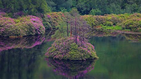 Glen Etive – Bing Wallpaper Download