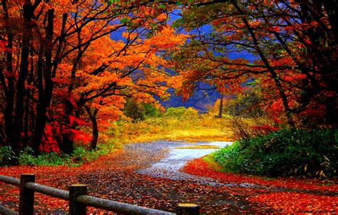 Autumn Wallpaper Hd Widescreen | Mega Wallpapers