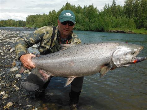 King Salmon on the FLY in Alaska! - RiverBum.com