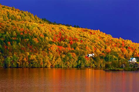 Canada, Quebec, La Mauricie National Park, Fall Colors, Foliage by ya zhang - Photo 18358393 / 500px