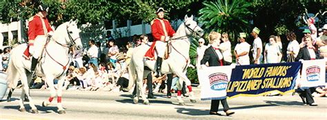 Lippizzaner Stallions in the Citrus Bowl Parade Orlando, Florida | Pics4Learning