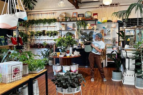 Buy Plants And Drink Iced Coffee At This Shop In Downtown Phoenix