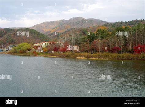 Autumn at Nami Island, South Korea Stock Photo - Alamy