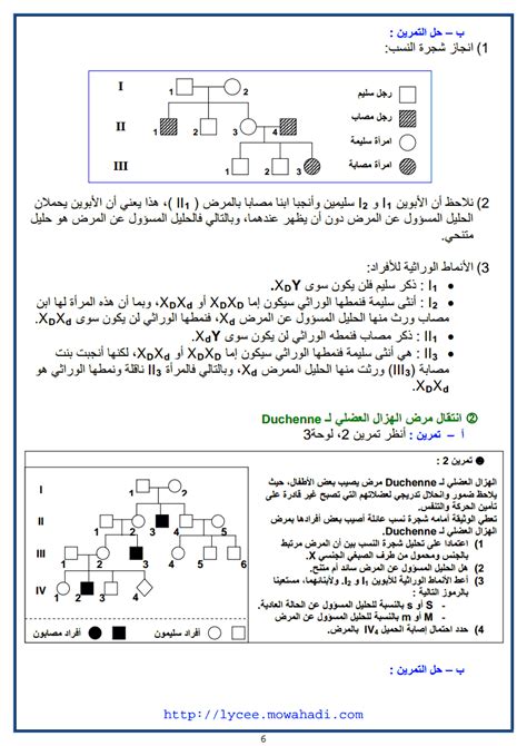 علم الوراثة البشرية -6 Sheet Music, Allah, Music Sheets