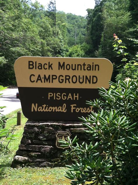 Black Mountain Campground NC | Pisgah National Forest