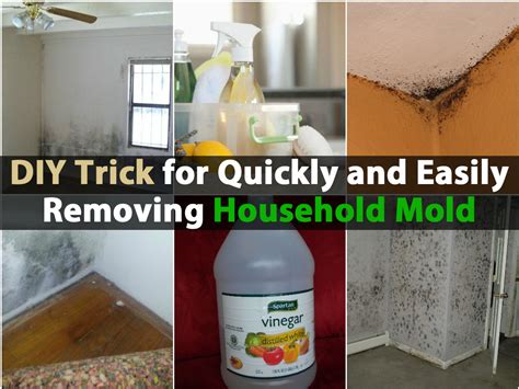 DIY Trick for Quickly and Easily Removing Household Mold - DIY & Crafts