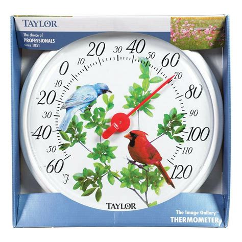 Taylor Bird Design 13.25. Indoor and Outdoor Dial Thermometer - Walmart.com - Walmart.com