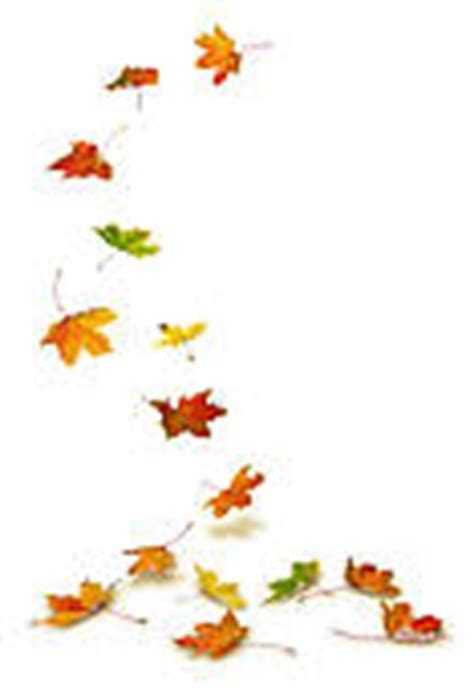 blowing leaves clipart 20 free Cliparts | Download images on Clipground 2024