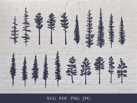 Evergreen Trees Drawing