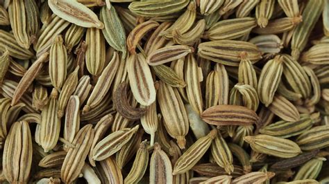 Dried fennel seeds pile close up 20855967 Stock Video at Vecteezy