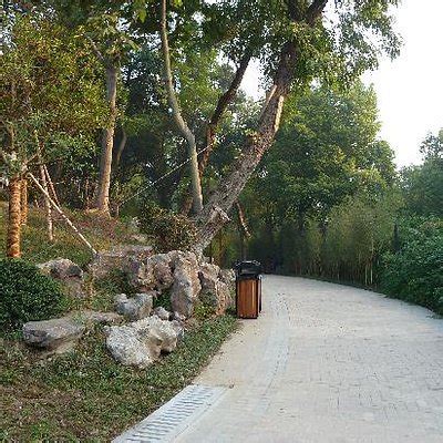 THE 15 BEST Things to Do in Hefei - 2021 (with Photos) - Tripadvisor