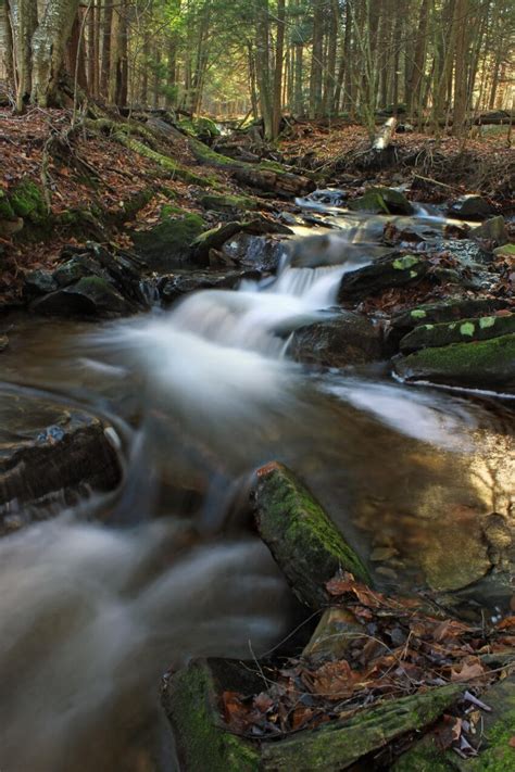 Free picture: water, forest, moss, ecology, river, waterfall, nature, stream, wood, creek