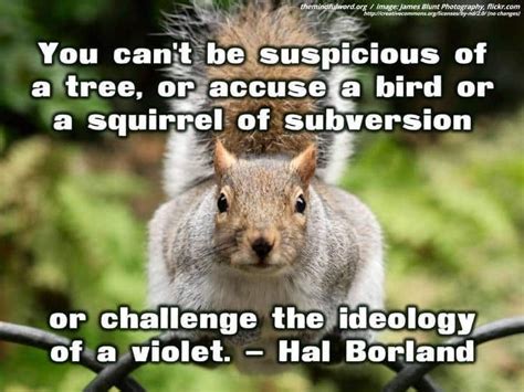 Earth day quotes, Squirrel, Ideology