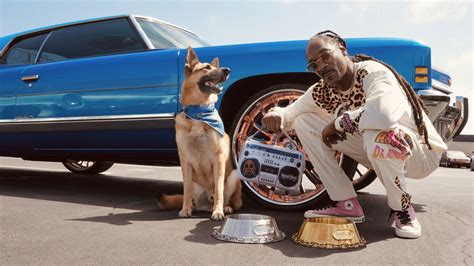 After rapper launches pet accessory brand, now your dog can dress like Snoop Dogg | CNN Business