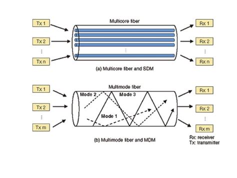 optical space division multiplexing